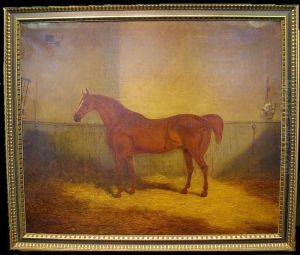 Horse In A Stable