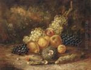 Grapes, Pears, Apples, A Peach And A Bird's Nest With Eggs, On A Mossy Bank by Thomas Whittle
