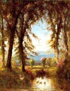 A Forest Glade