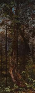 "pine Trees, Minerva" by Thomas Worthington Whittredge