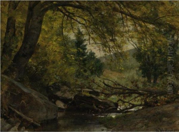 Stream In A Wooded Interior - view 1