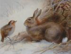 A Rabbit And A Robin. by Charles Whymper