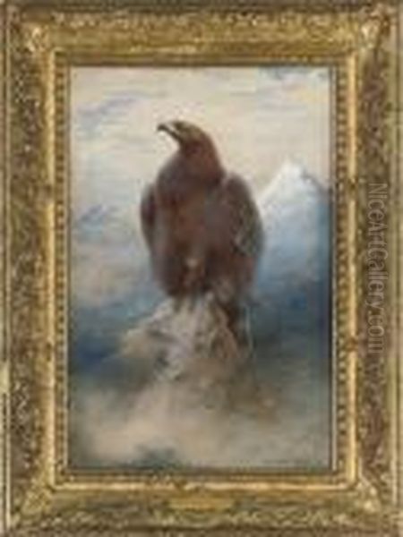 The Eagle - view 1