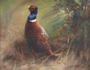Pheasant In Landscape
