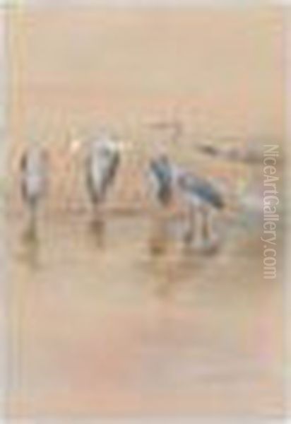 Herons - view 1