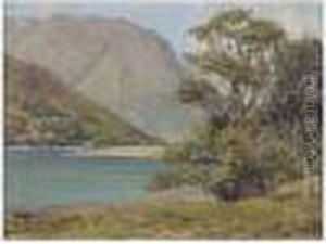 Near Ballachulish by Duncan Mcgregor Whyte
