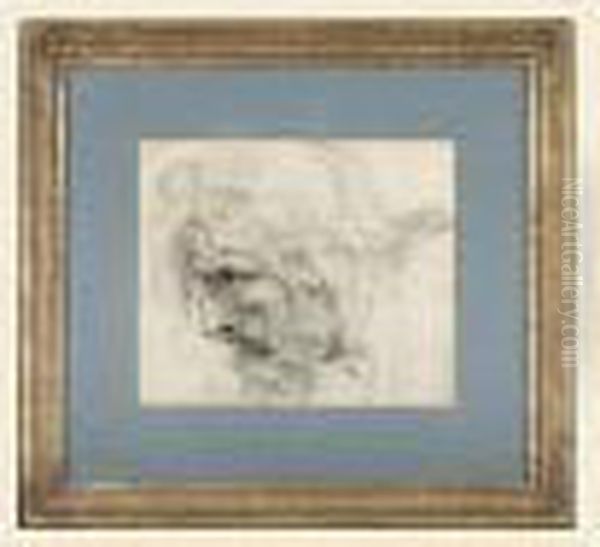 Tete D'homme Barbu De Profil [, Study Of A Bearded Man Seen In Profile, Black Chalk] - view 1