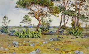 Coastal Landscape Coastal Landscape