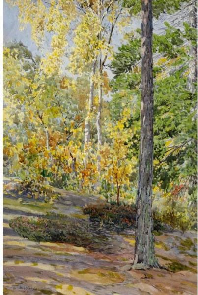 Forest Landscape - view 1