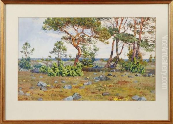 Kustlandskap - view 1