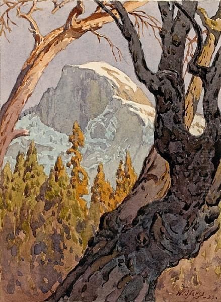 A View Of Half Dome - view 1