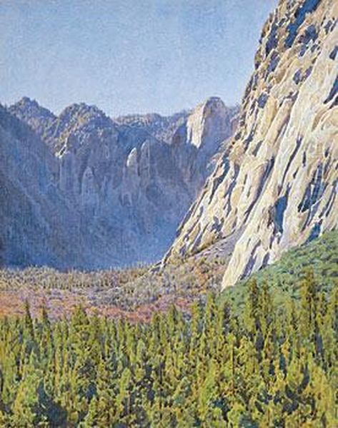 Forested Canyon - view 1