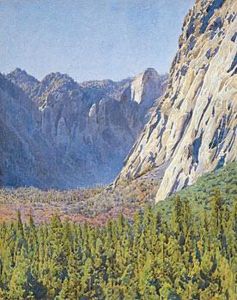 Forested Canyon