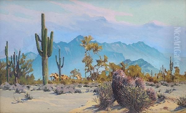 Cacti And Mountains - view 1