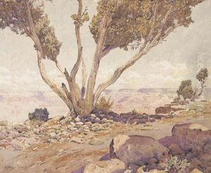 Grand Canyon by Gunnar Mauritz Widforss