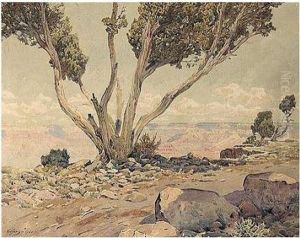 The Grand Canyon by Gunnar Mauritz Widforss