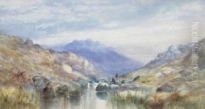The Valley Of The Tavy, Dartmoor
