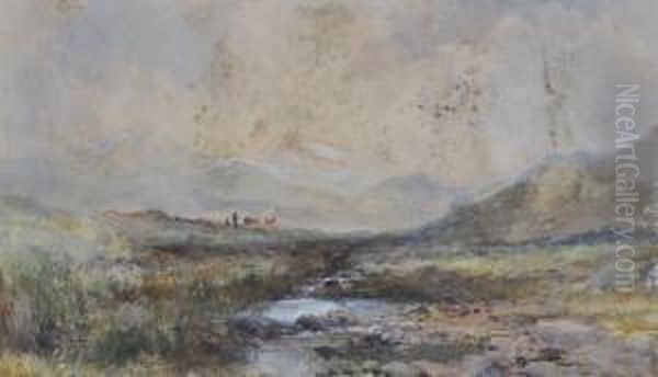 Moorland Landscape - view 1
