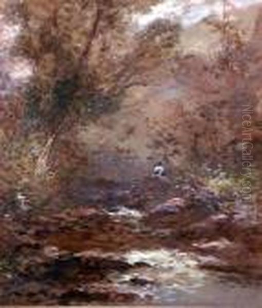 Woodland Stream - view 1