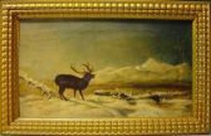 Hirsch In Mit Schnee Bedeckter Landschaft An Einem See Hirsch In Mit Schnee Bedeckter Landschaft An Einem See