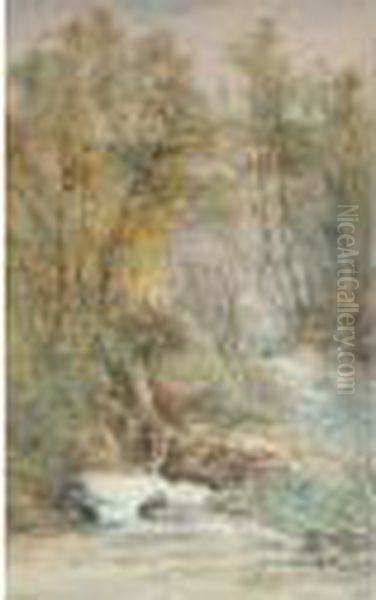 A Waterfall In A Wooded Landscape - view 1