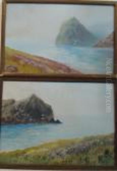 Devon Sea Views - view 1