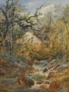 A Rocky Stream by William Widgery