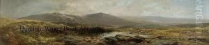 Dartmoor Landscape