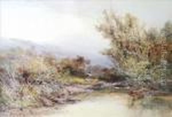 A Moorlandstream - view 1