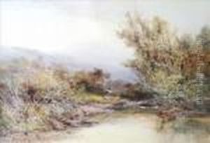 A Moorlandstream by William Widgery