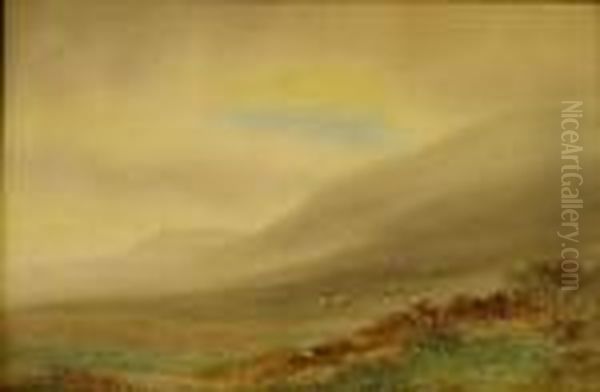 Misty Morn - view 1