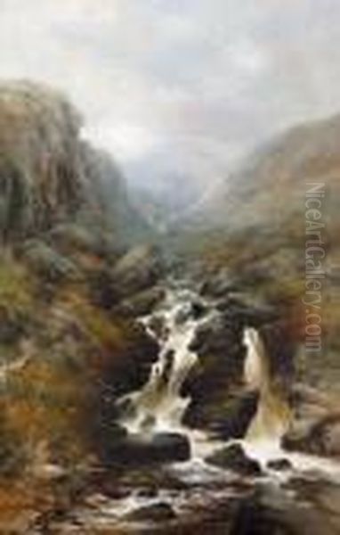 "lydford Gorge". - view 1