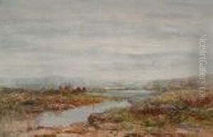 Cattle Watering Cattle Watering