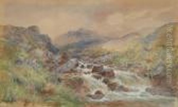 A Moorland Torrent - view 1