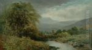 A River View On The Edge Of Dartmoor