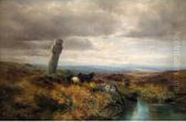 Dartmoor Ponies - view 1