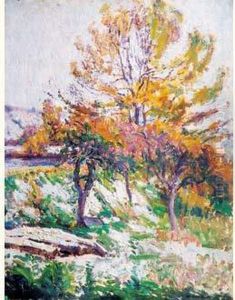 Jardin En Automne Jardin En Automne
