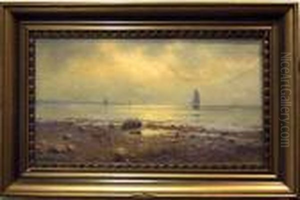 Kustbild Med Batar. - view 1