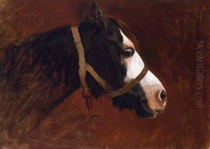 Profile of a Horse