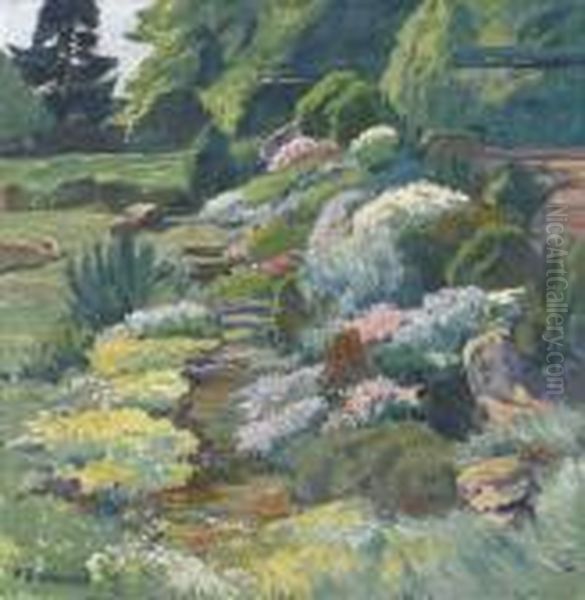 Bluhender Alpengarten - view 1