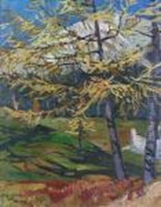 "larchen Im Herbst". by Hans Beat Wieland
