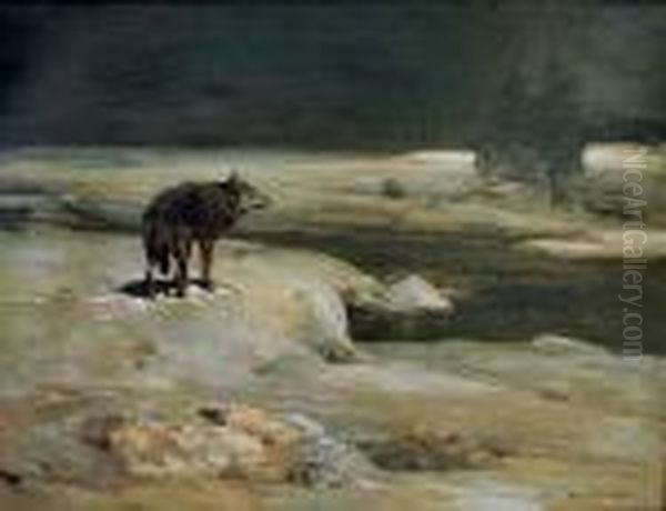 Wilk W Nocy - view 1