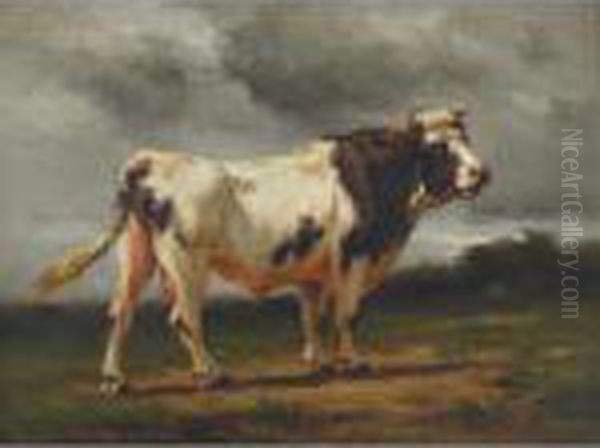A Thoroughbred - view 1