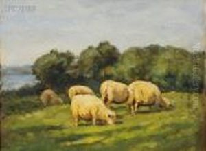 Grazing Sheep, Old Lyme, Connecticut