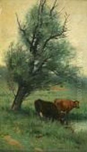Cows Under A Tree