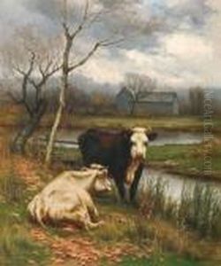 Cattle Resting Near A Pond