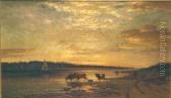Cattle Watering At Sunset - view 1