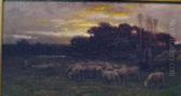 Sheep Grazing At Sunrise - view 1