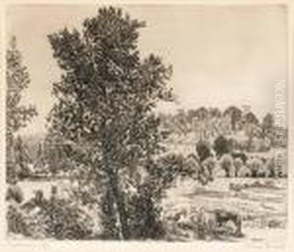 Livry Sur Serein - view 1