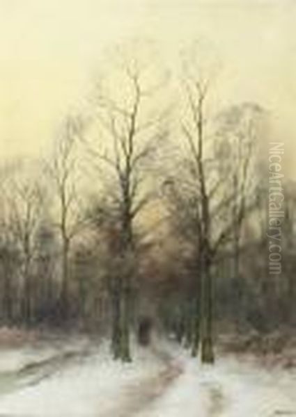 Strolling On A Snow-covered Path - view 1